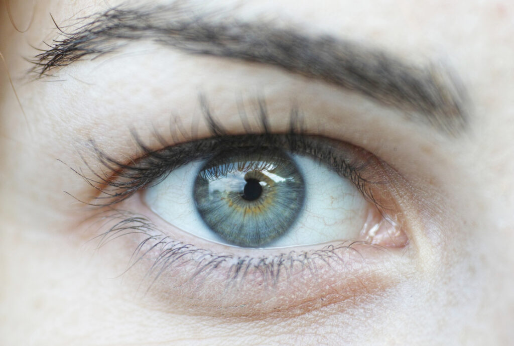 Cor dos olhos (Crédito: Freepik)