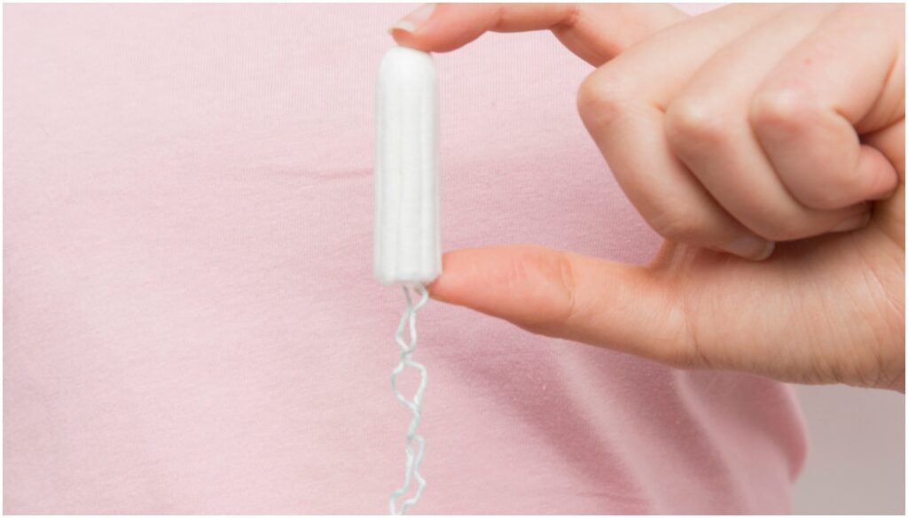 absorvente interno