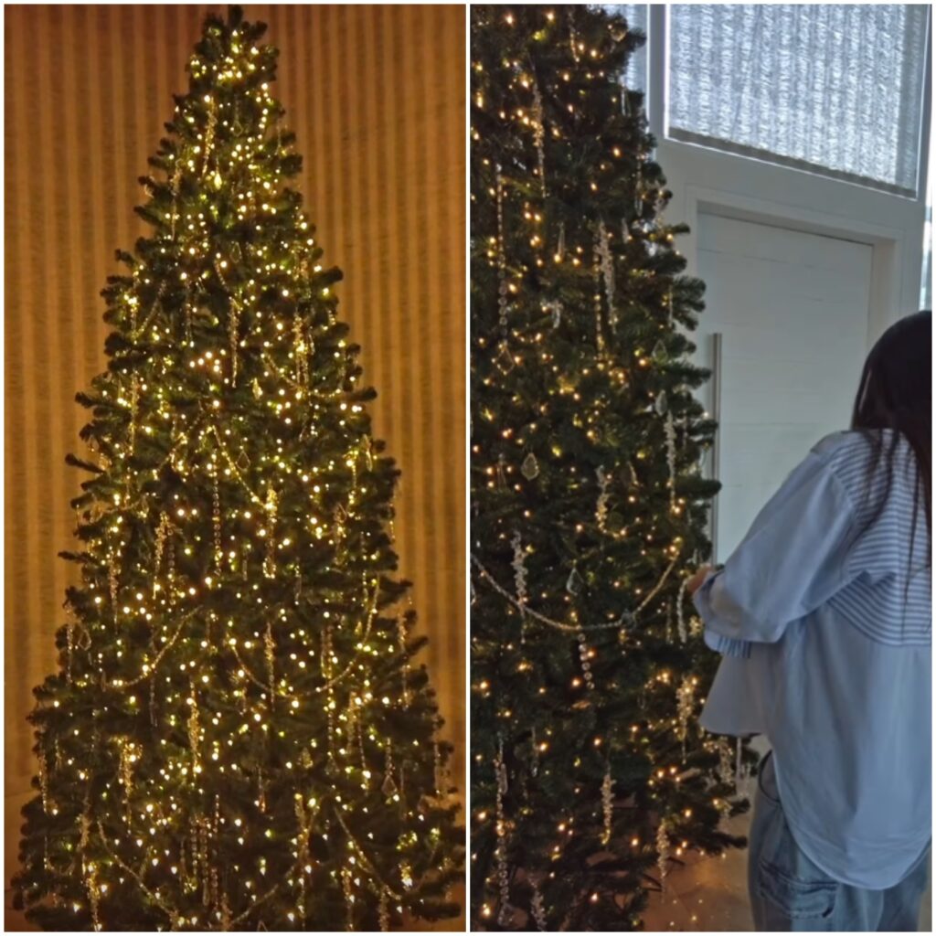 árvore de natal jade magalhães e luan santana