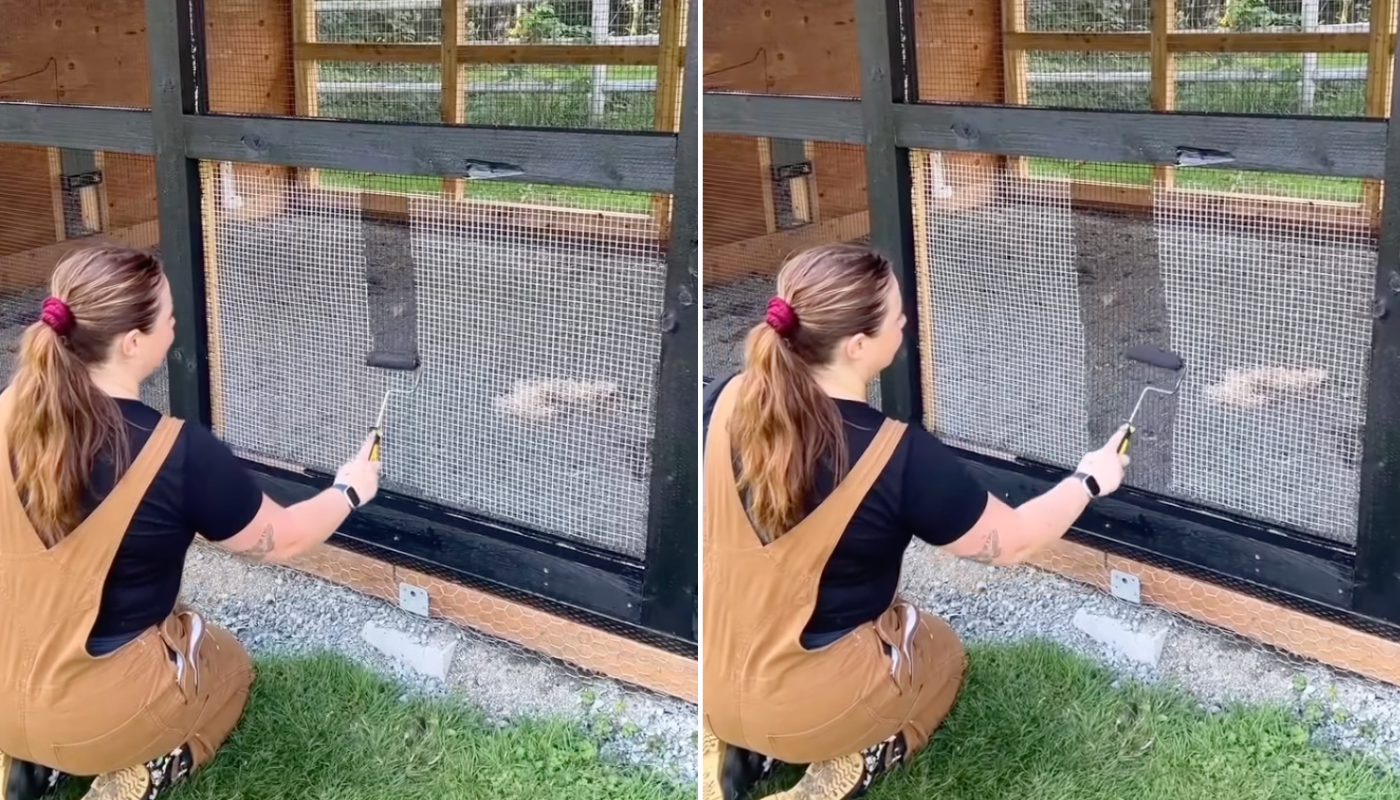 Cansada da sensação de grades das telas de segurança? Basta pintar de preto