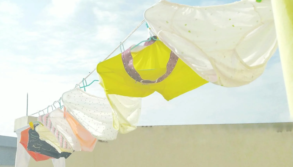 Higienizar roupas íntimas. (Crédito: chuanyu2015/Pexels)