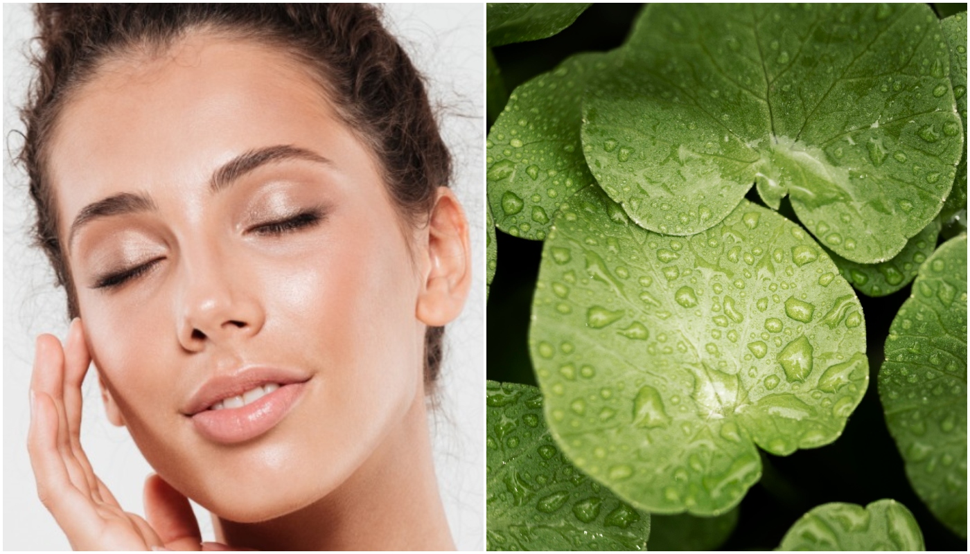 Centella asiática é a nova febre do skincare: pode ser usado em todas as peles