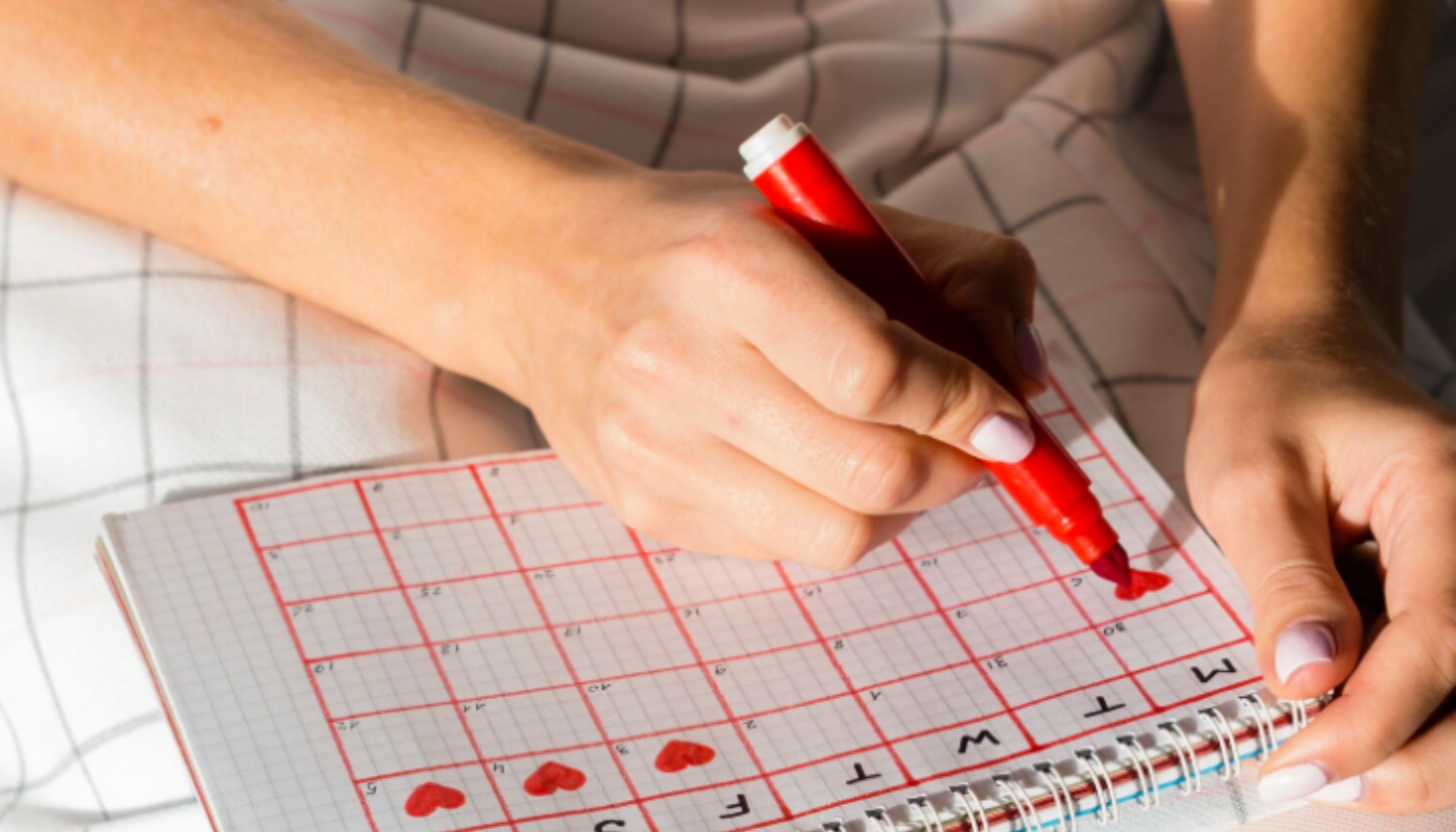 (Crédito: freepik/freepik)