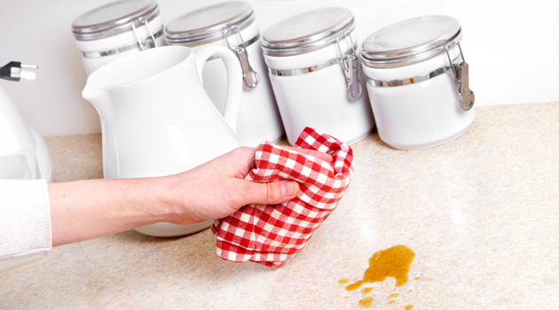 Cravo da índia, mel e vinagre + 3 aliados para se livrar de vez das formigas em casa