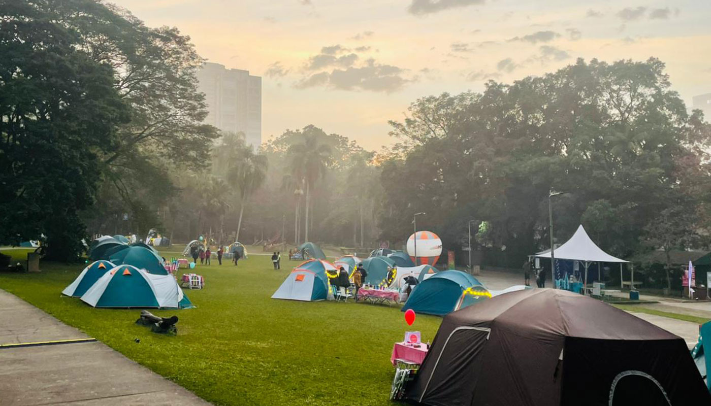 Horto Florestal em SP terá acampamento sob as estrelas para famílias: atividades, valores e mais