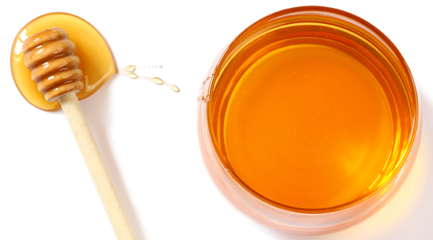 Armadilha de mel fará você descobrir onde as formigas se escondem em casa: aprenda