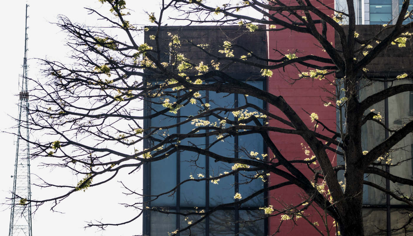 Maior onda de frio do século vai atingir o Brasil nos próximos dias: neve e sensação de -25°C