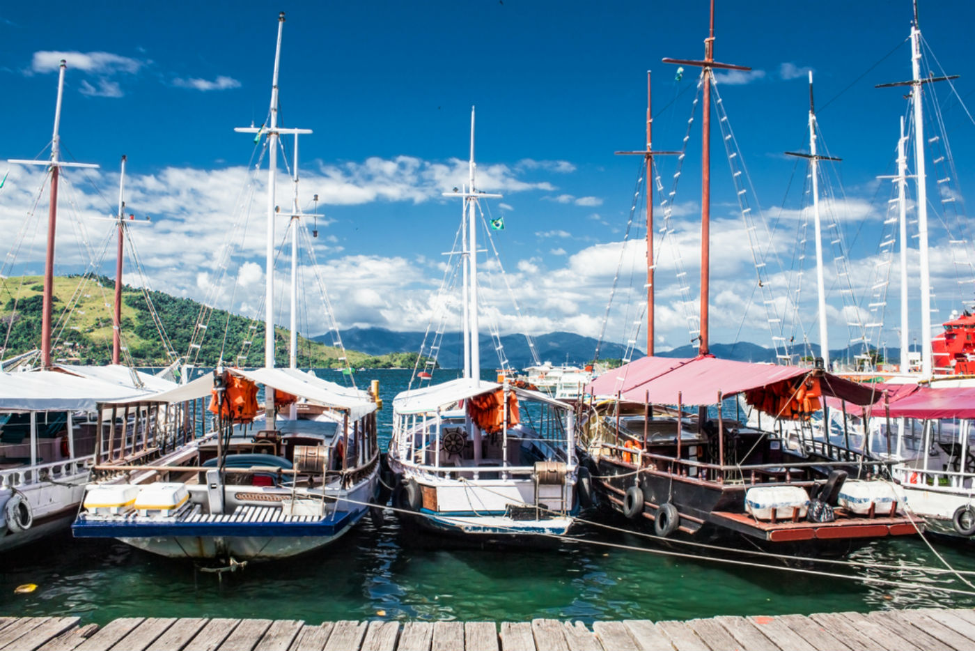 Sem ninguém por perto, tubarões nadam livremente na costa do Rio de Janeiro: vídeo