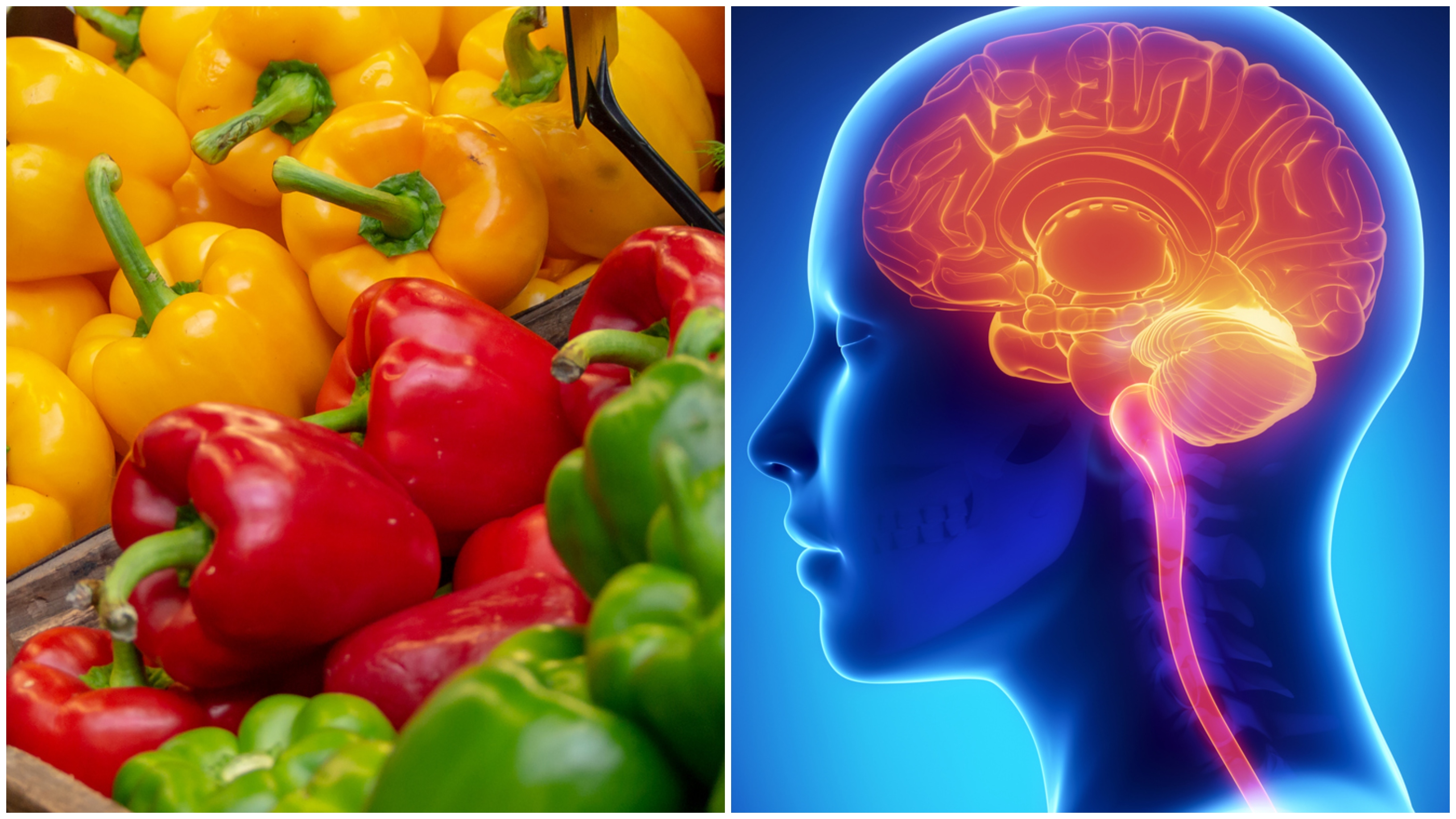 Alimentos de cor forte podem ser especialmente benéficos para o cérebro da mulher, diz estudo