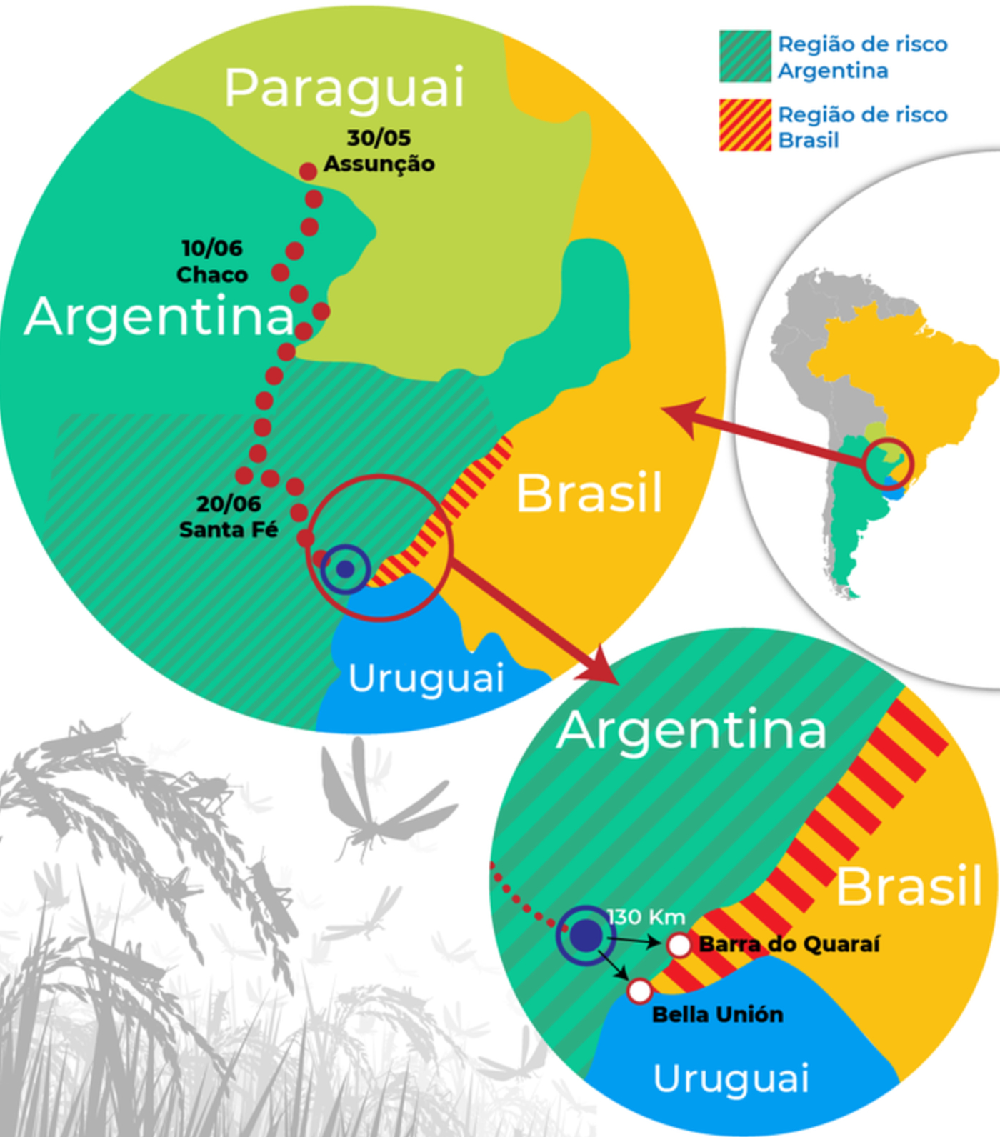 Ufa! Frente fria deve desviar nuvem de gafanhotos que vinha para o Brasil