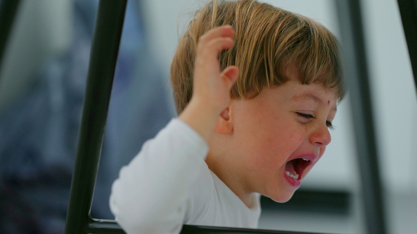 A explicação por trás da “crise dos 2 anos” é muito interessante e vai te encantar