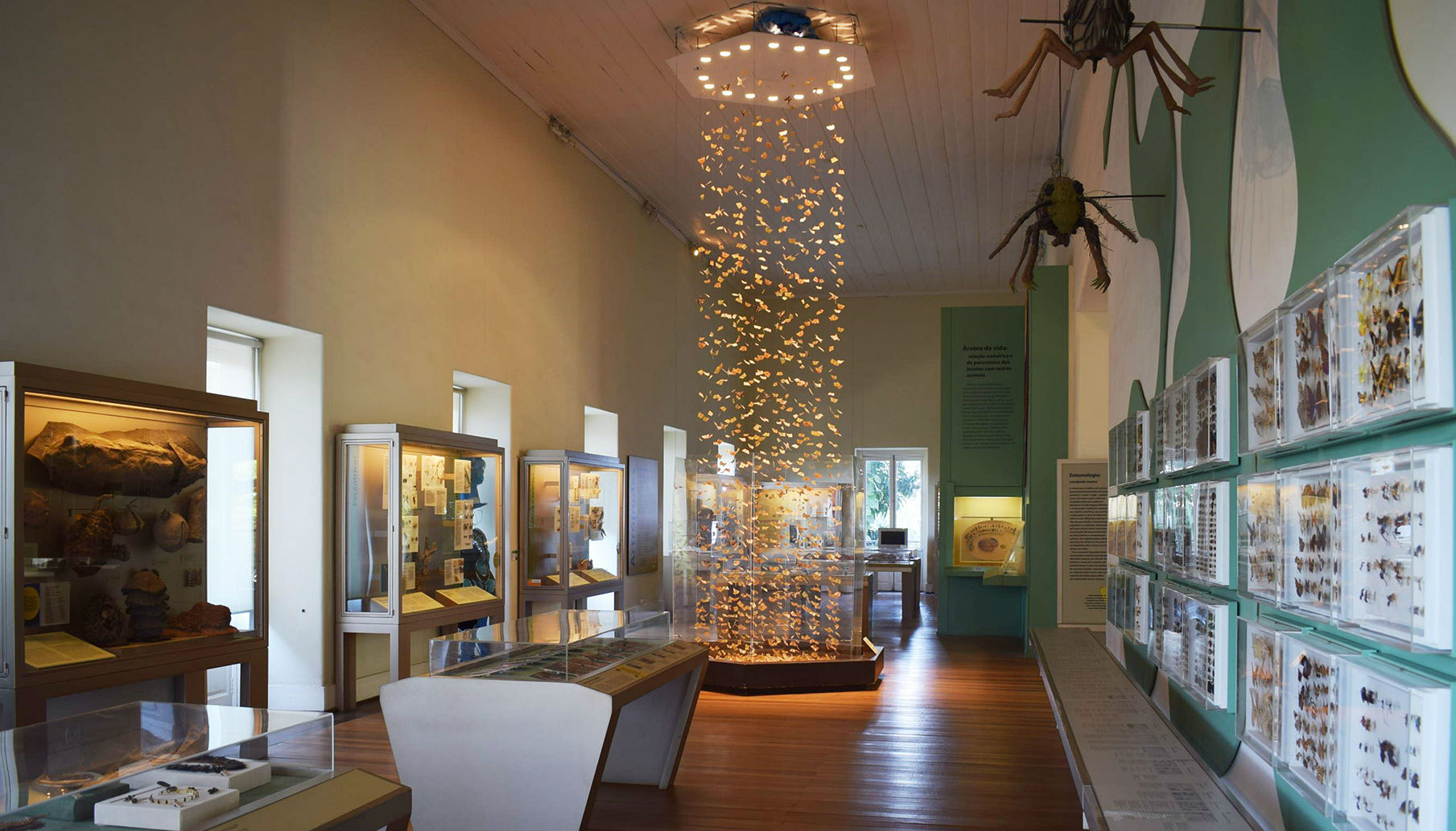 Essas 10 imagens mostram como era o Museu Nacional por dentro antes do incêndio