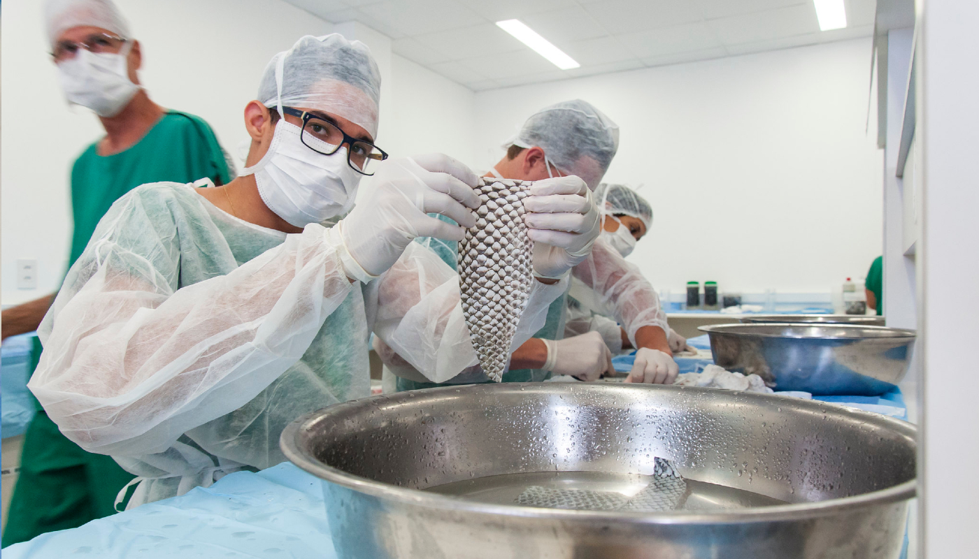Pele de tilápia trata queimaduras: curativo brasileiro é inovador e pode chegar ao SUS